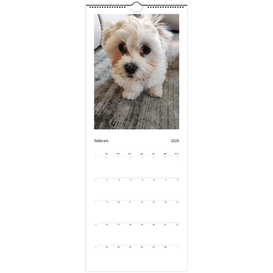 8c70c00f-0dce-42e3-9a45-8b047f7dade3