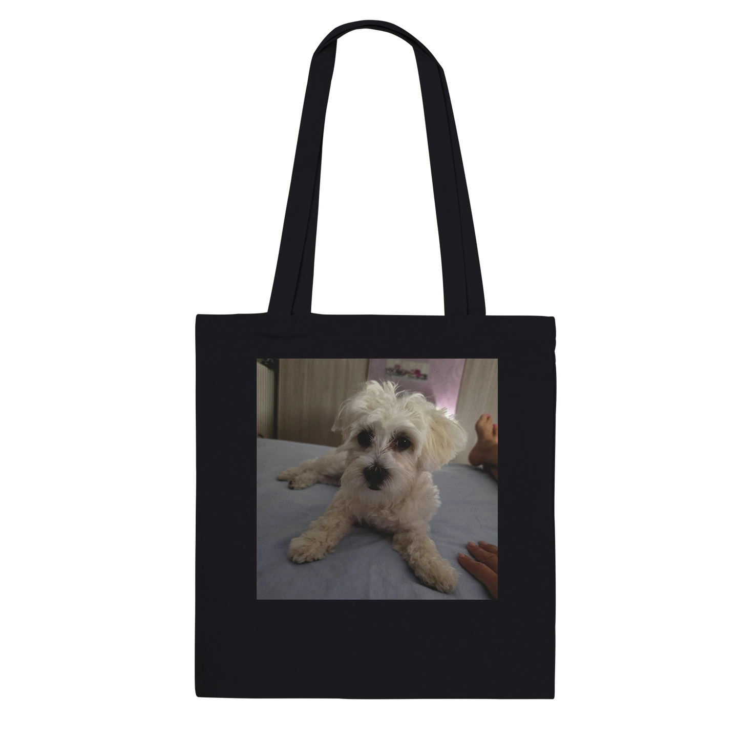 c28d9b31-ab4f-4f93-959d-68f017cf4e0a