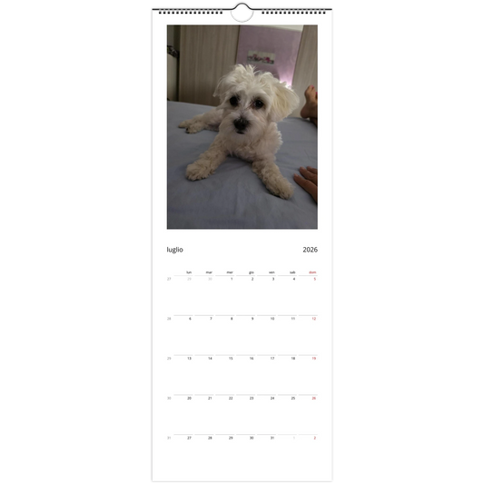 d7ba738c-3df3-4e54-afd2-755e09a19c0f