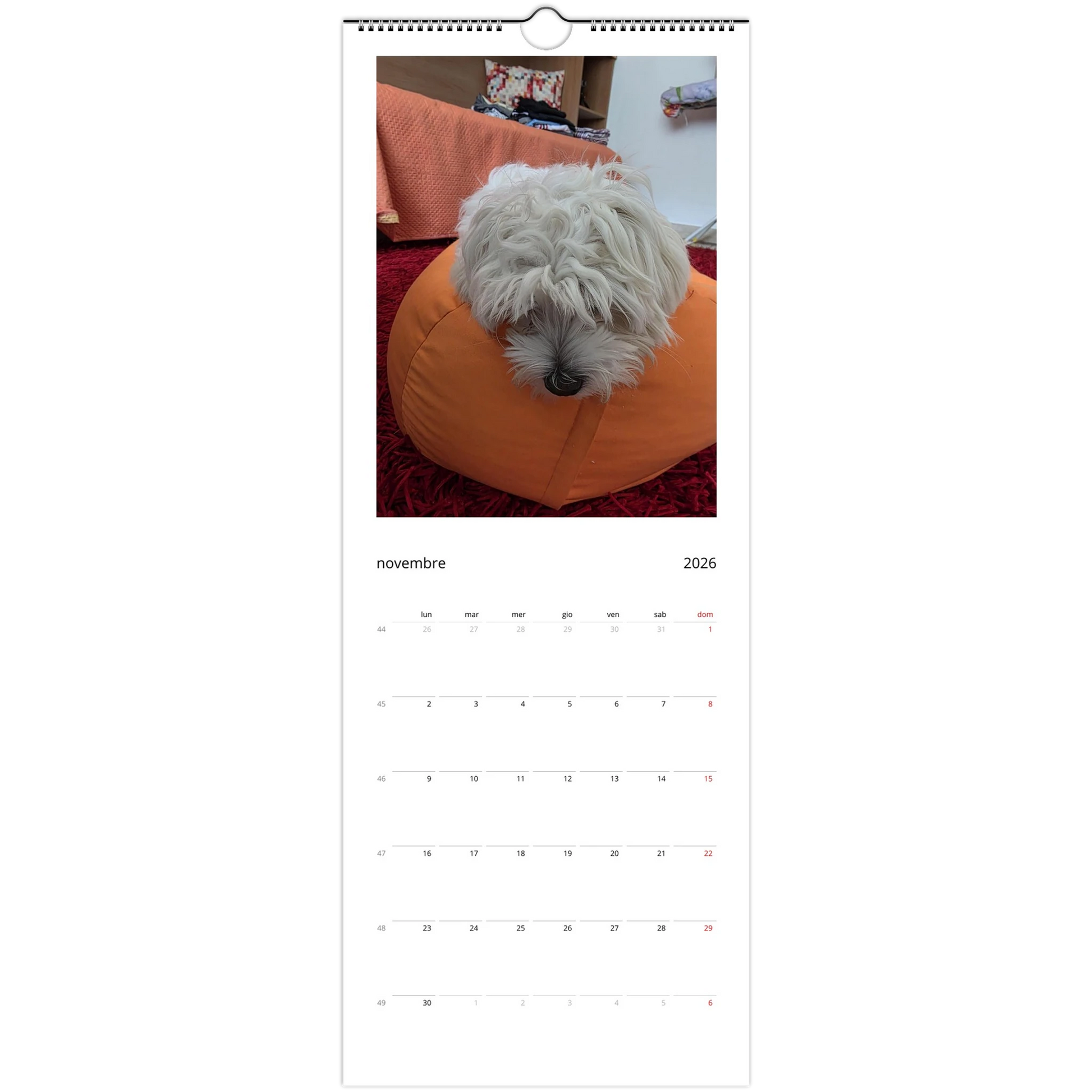 0081eb1b-3422-419b-afec-66ea3271db77