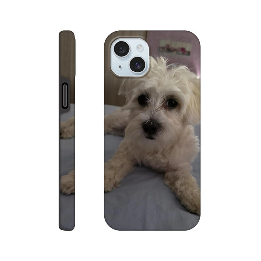 3e5ec6d5-8495-4c46-a13c-fdfe94aabb84