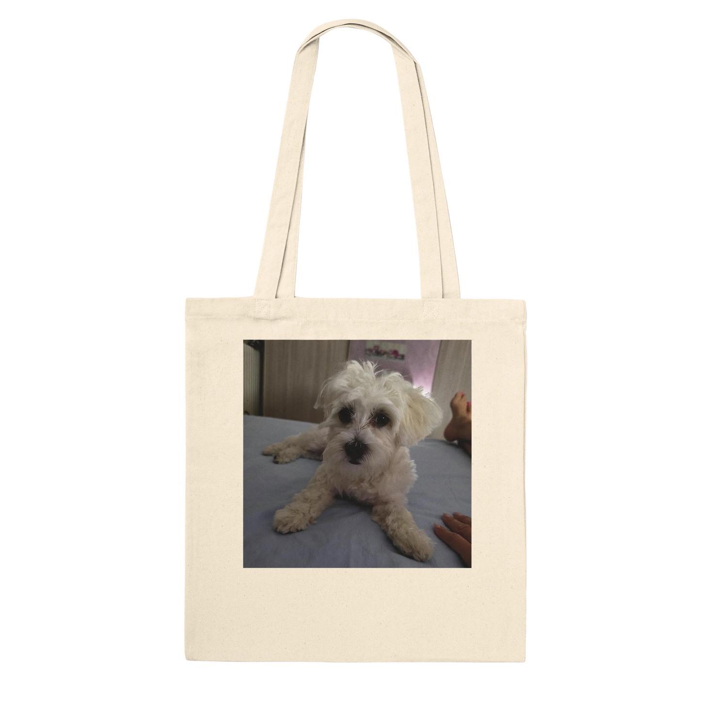 53761c98-ce36-4651-8a27-366f372d9a73