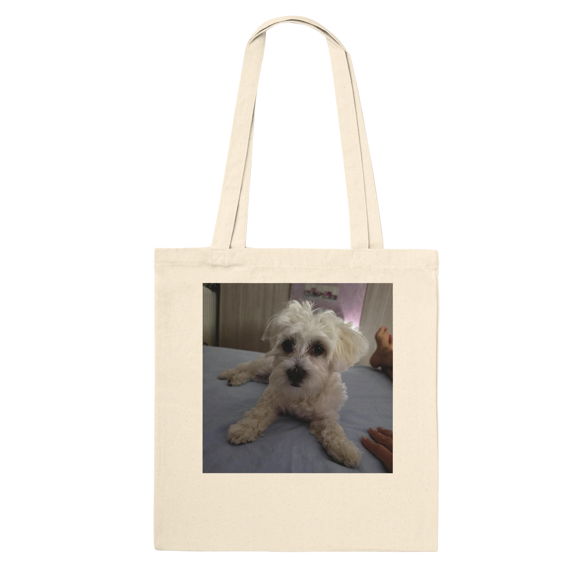 53761c98-ce36-4651-8a27-366f372d9a73