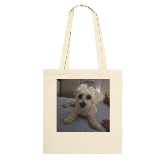 53761c98-ce36-4651-8a27-366f372d9a73