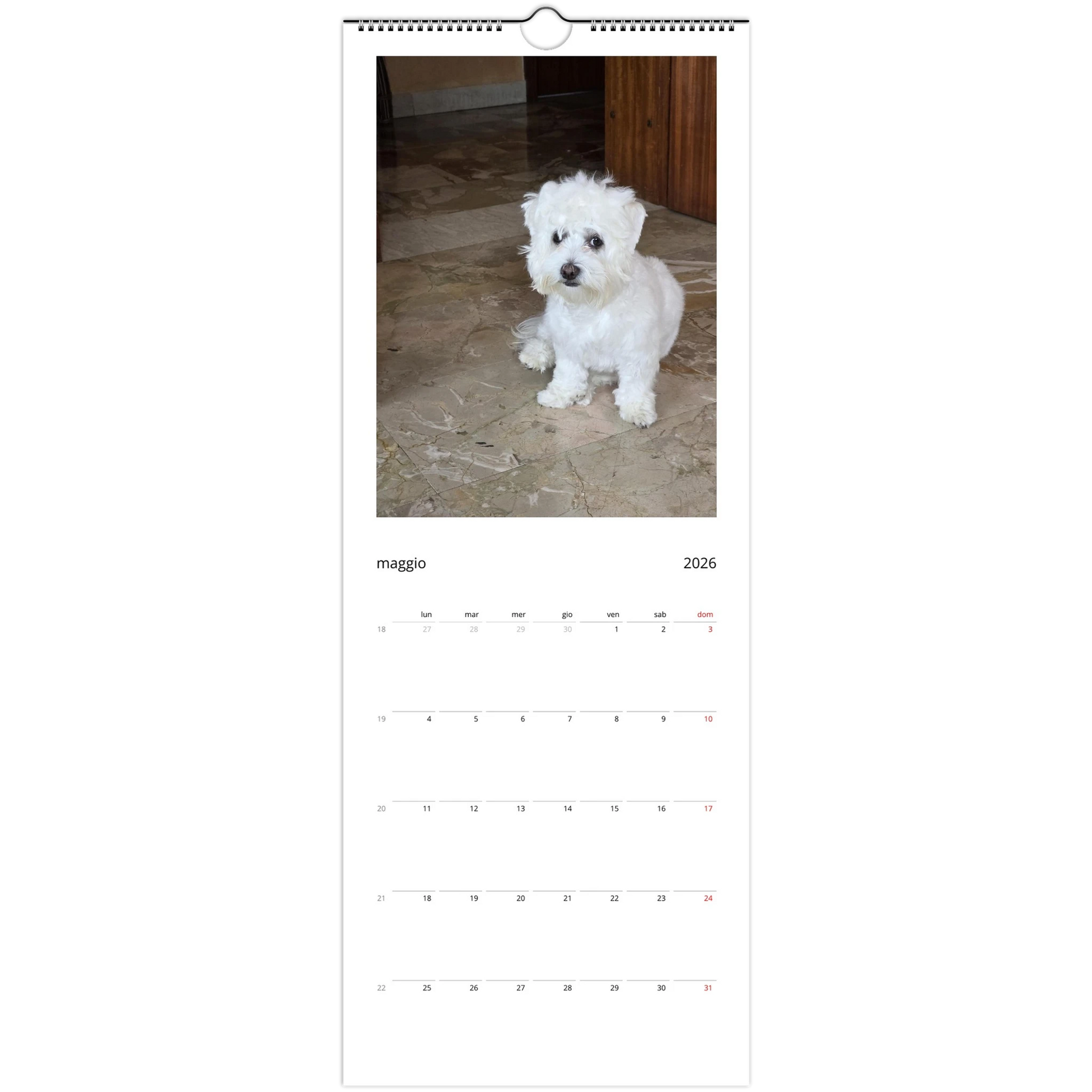 54c32ea1-f044-4fcb-9442-90637efef2ca