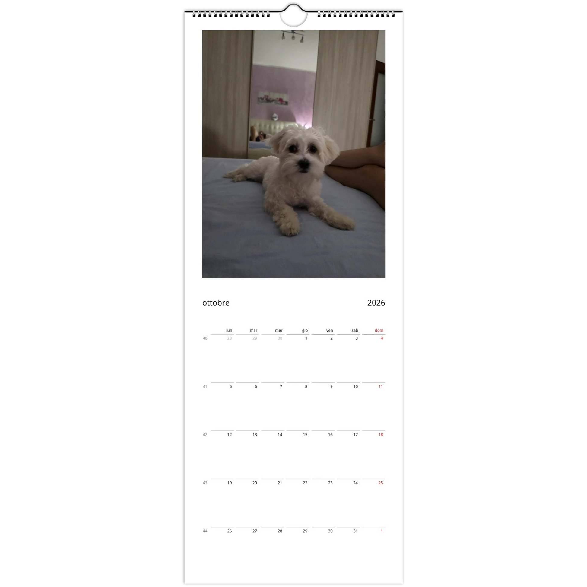 78fd9c0f-5946-49d4-a214-ffb2baed349f