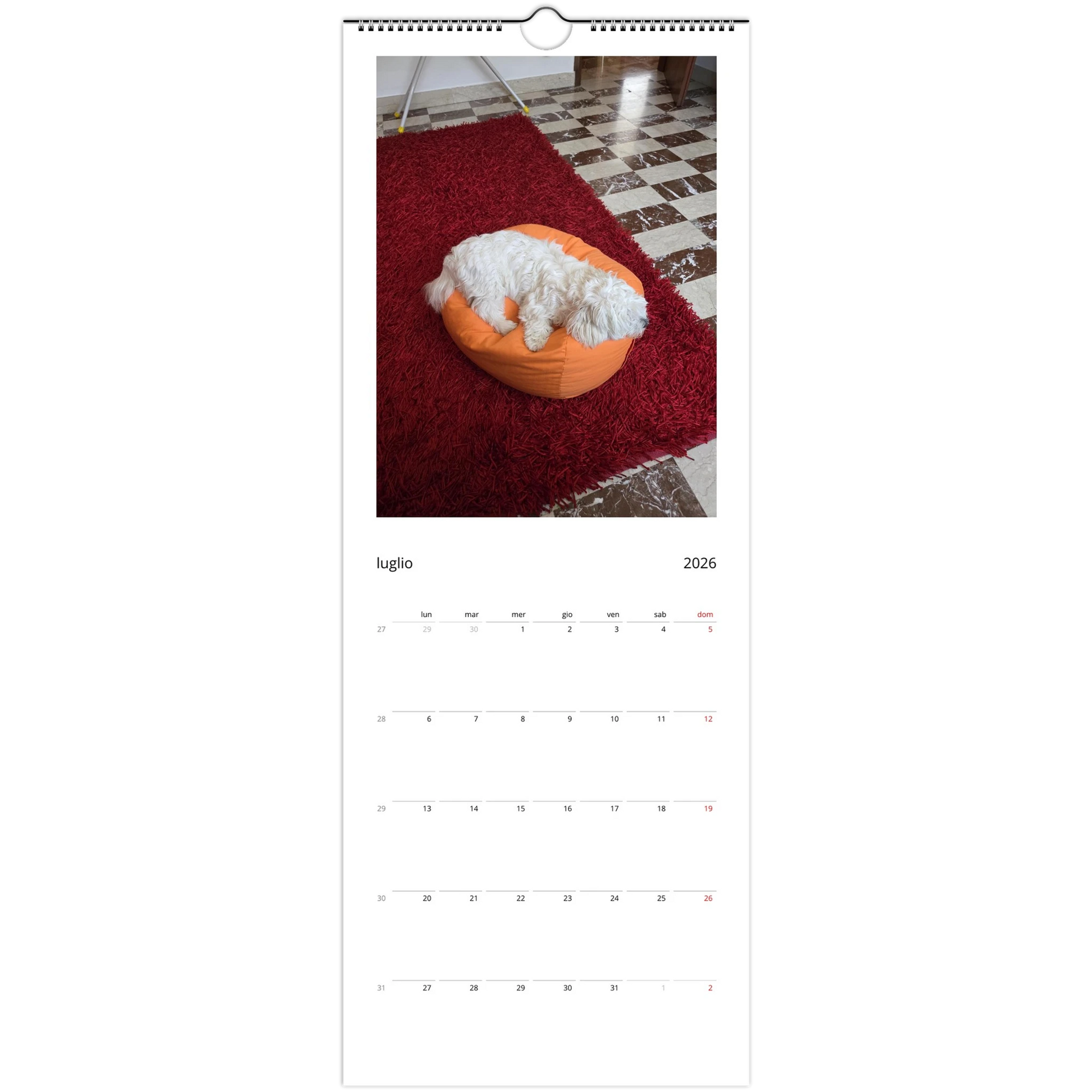 807a68a8-122b-4ac3-b8cd-e97d20aa005f