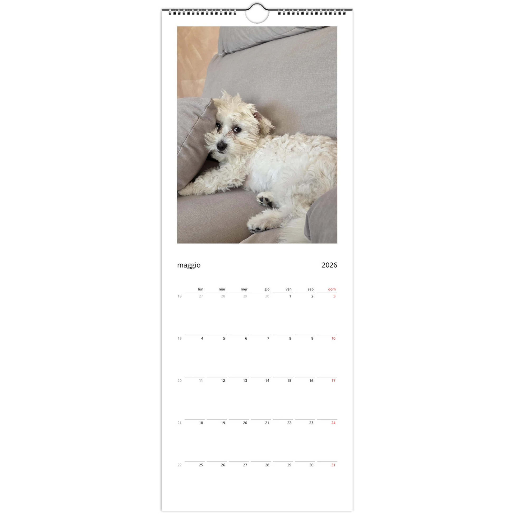 851a7fb8-d4be-4a56-bbbd-a34bc4f943cd