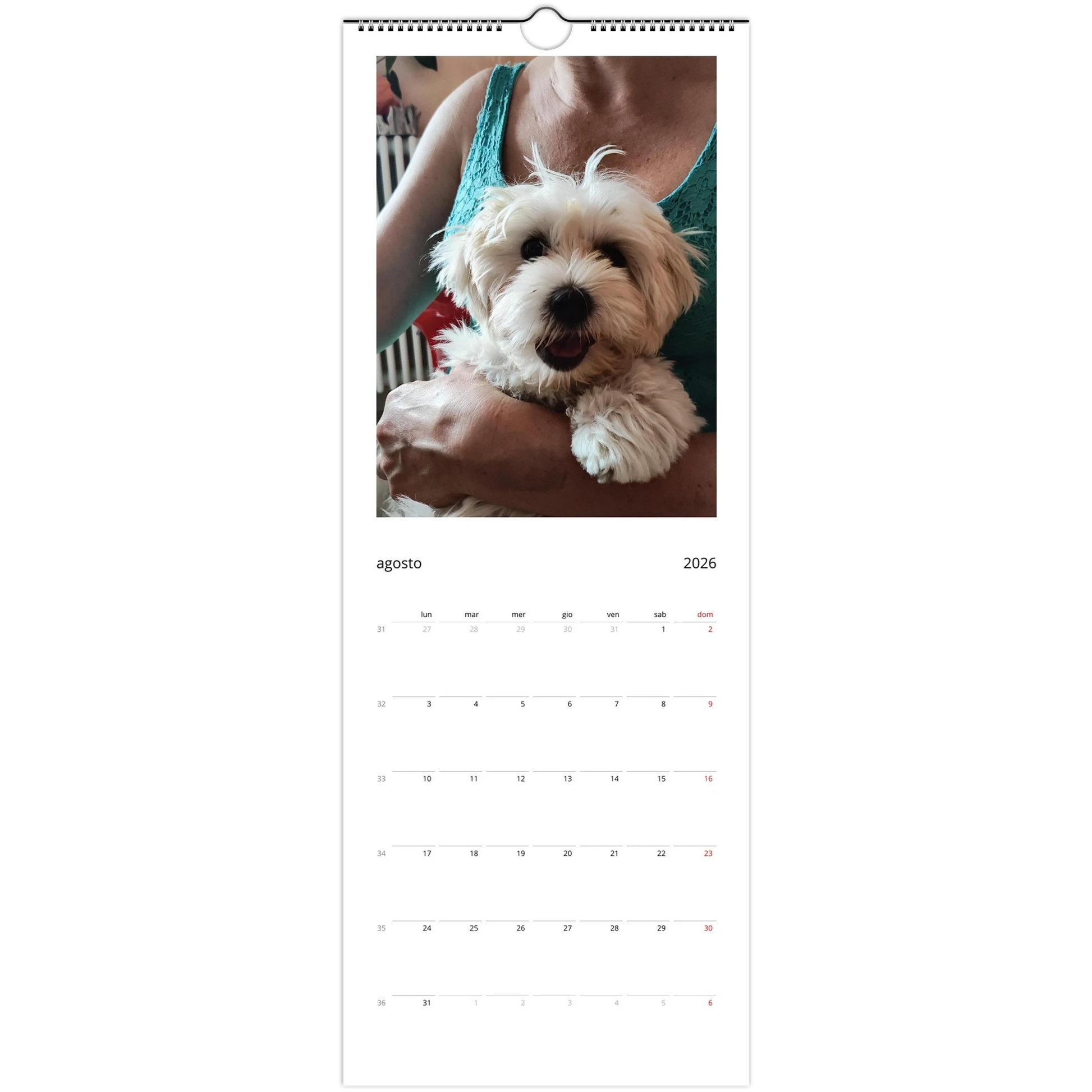 898944e5-d134-4283-b1d3-d6cdf8934a7c