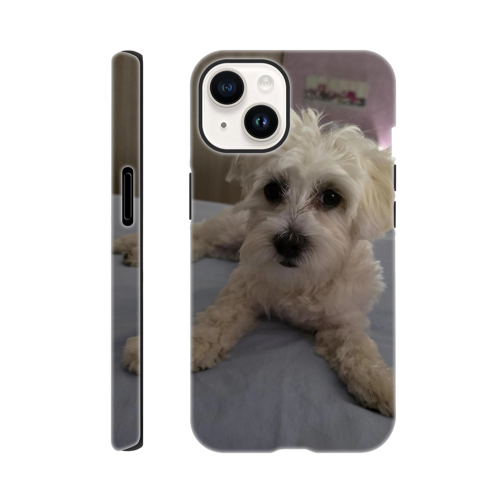 9089469b-537d-4d32-acc0-78e609753858