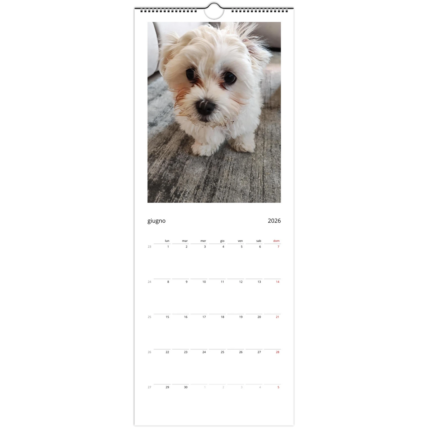 a70695d5-9b77-4b9a-aa27-c603755a855e