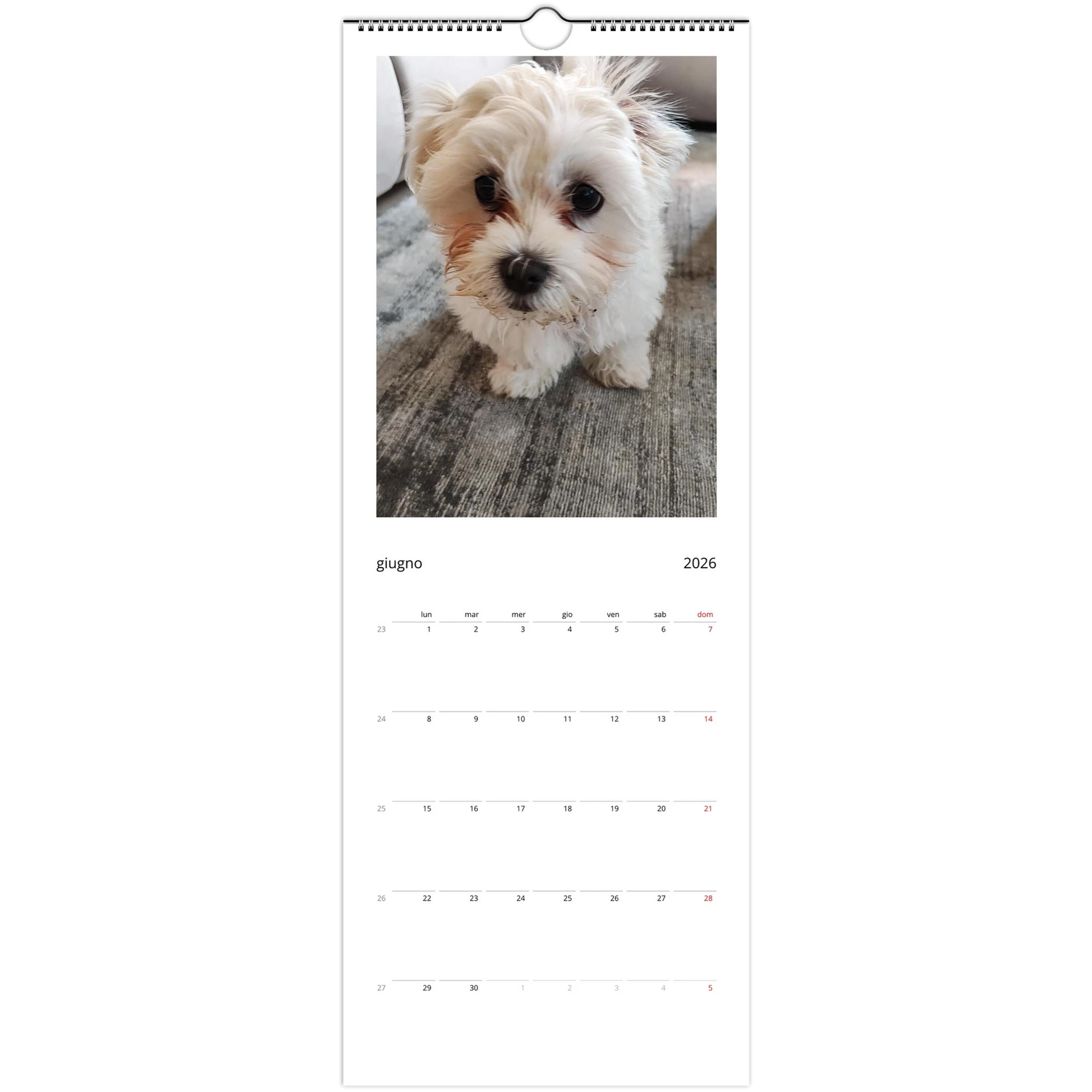 aab21f97-40f4-45ec-bc98-f1481e4e1738