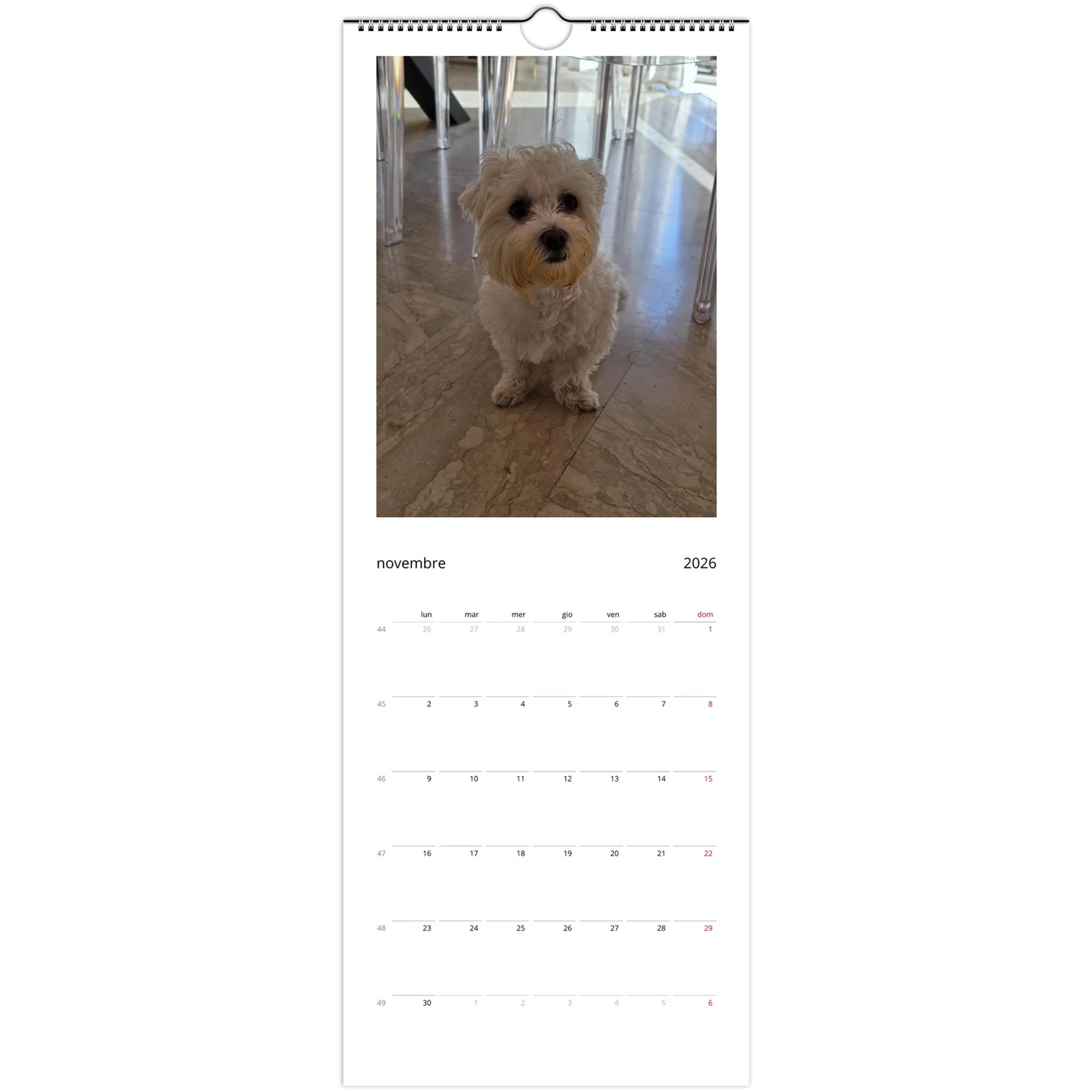 c519f163-df18-4d4a-9f96-36625ab22c61