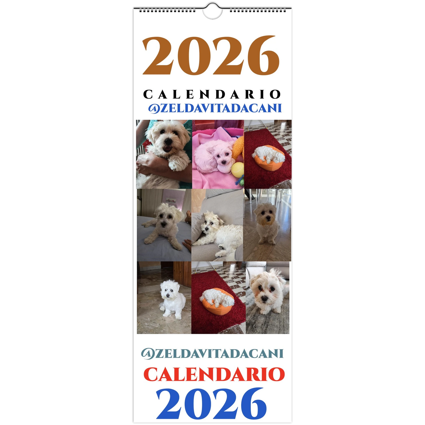 c6e170ea-08d1-402a-bd75-0d158610f13f