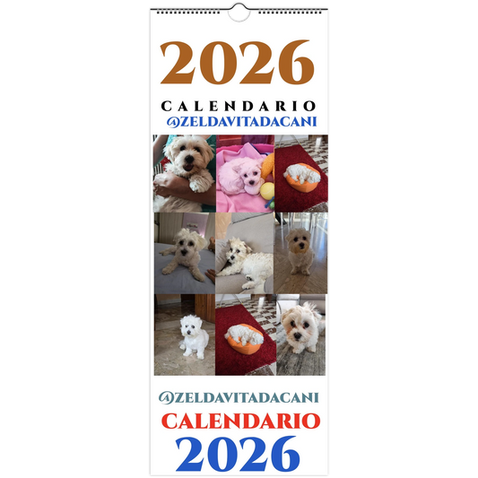 c6e170ea-08d1-402a-bd75-0d158610f13f