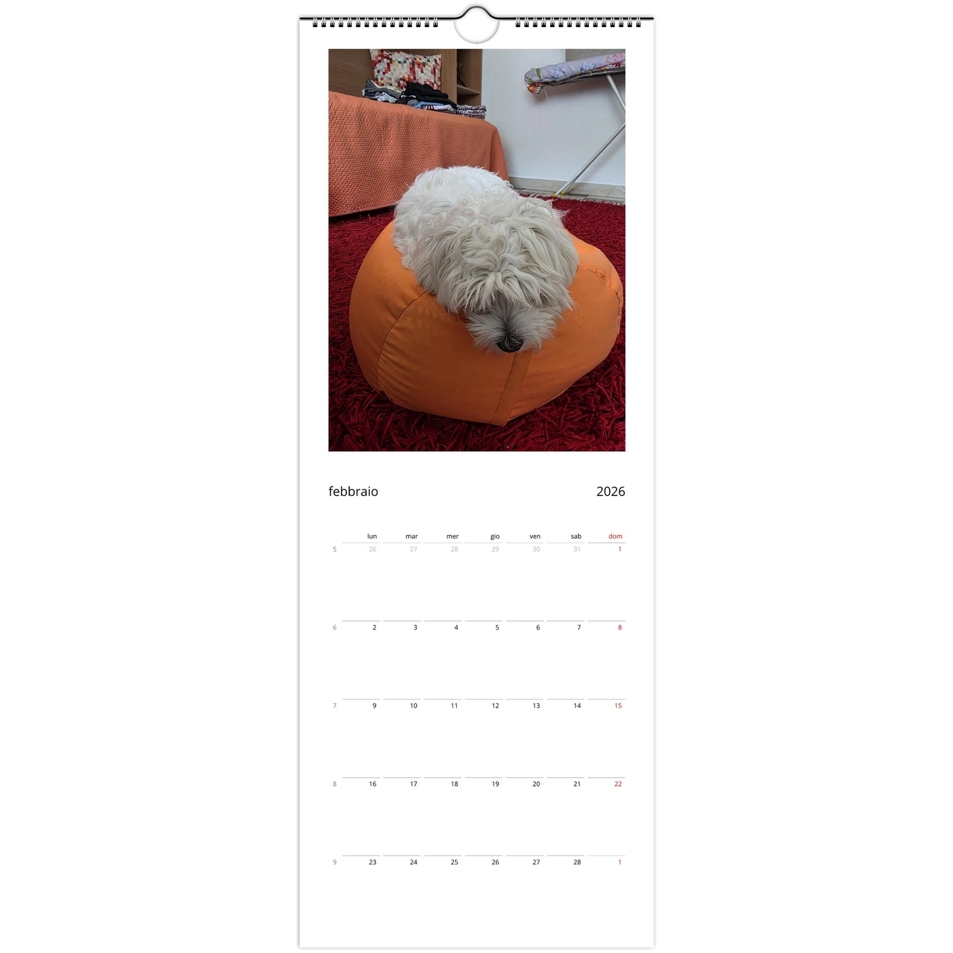 cfa98e75-8337-44e1-9718-3ad312e54ef3