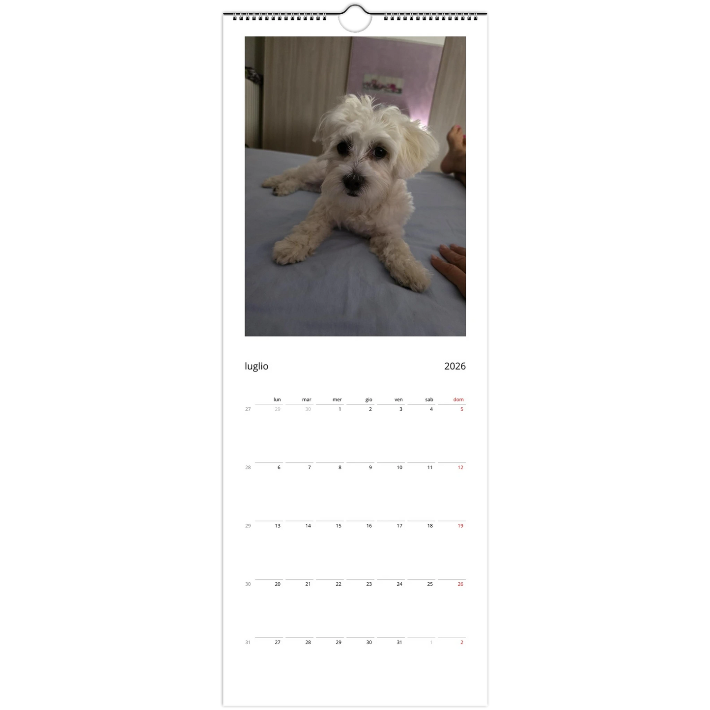 d7ba738c-3df3-4e54-afd2-755e09a19c0f