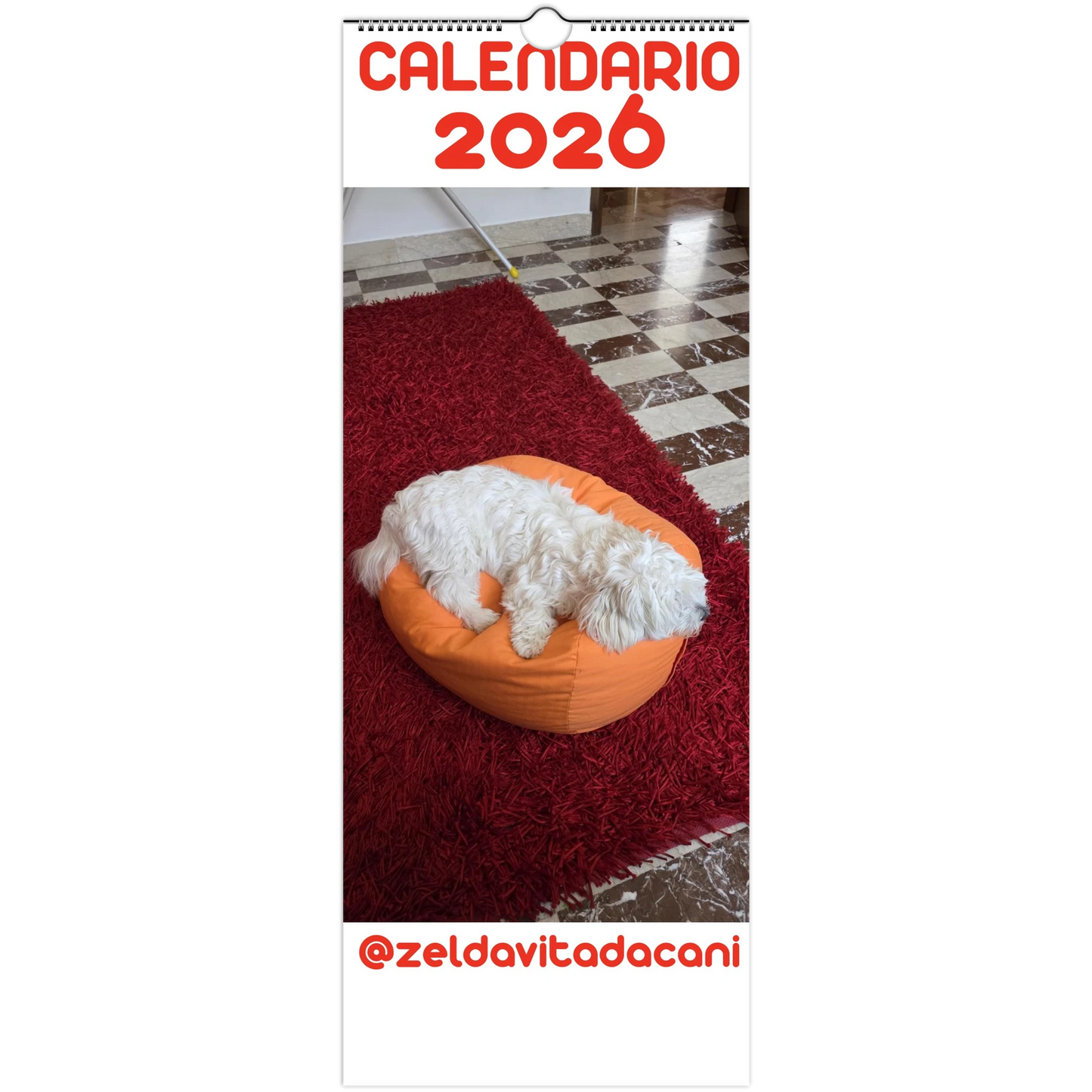 dc1551ba-8440-46a6-a4dc-aa498a67d7c4