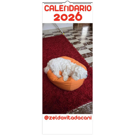 dc1551ba-8440-46a6-a4dc-aa498a67d7c4