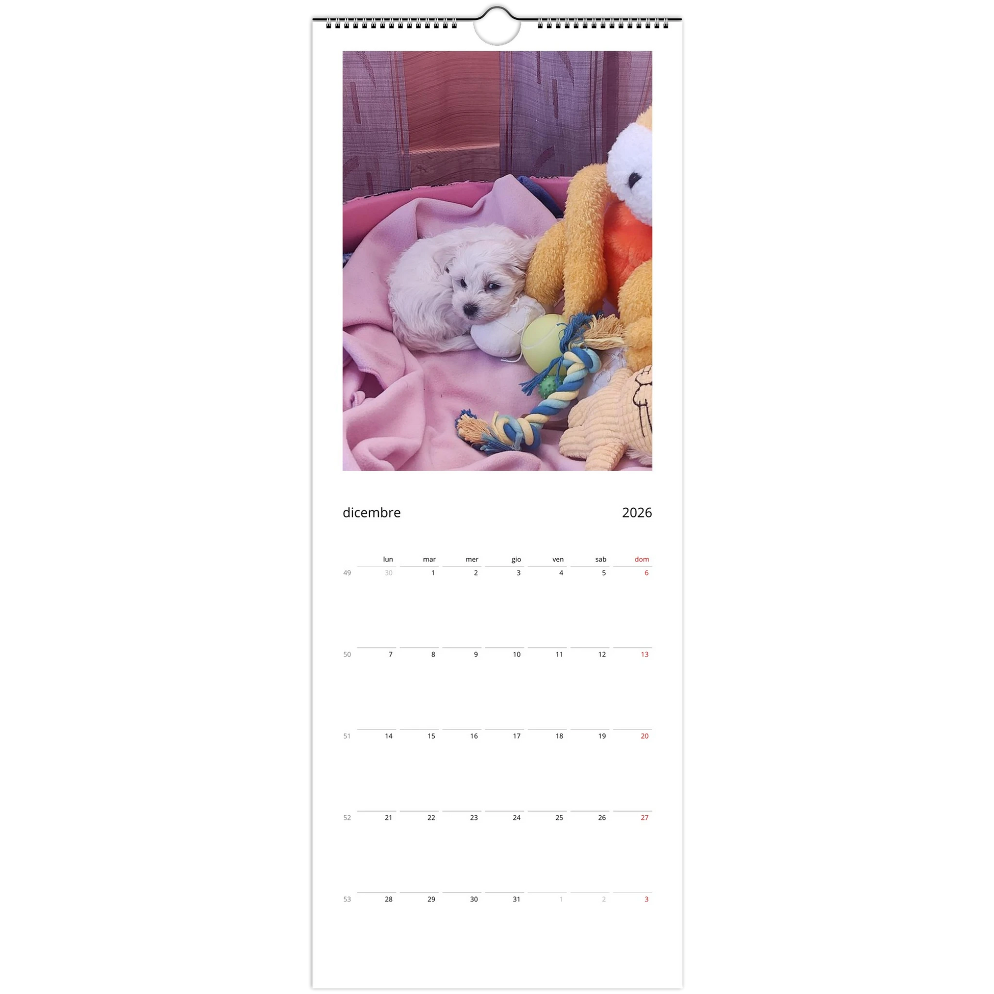 ee3dccd9-78e6-4b2c-8002-a76f908c71fd