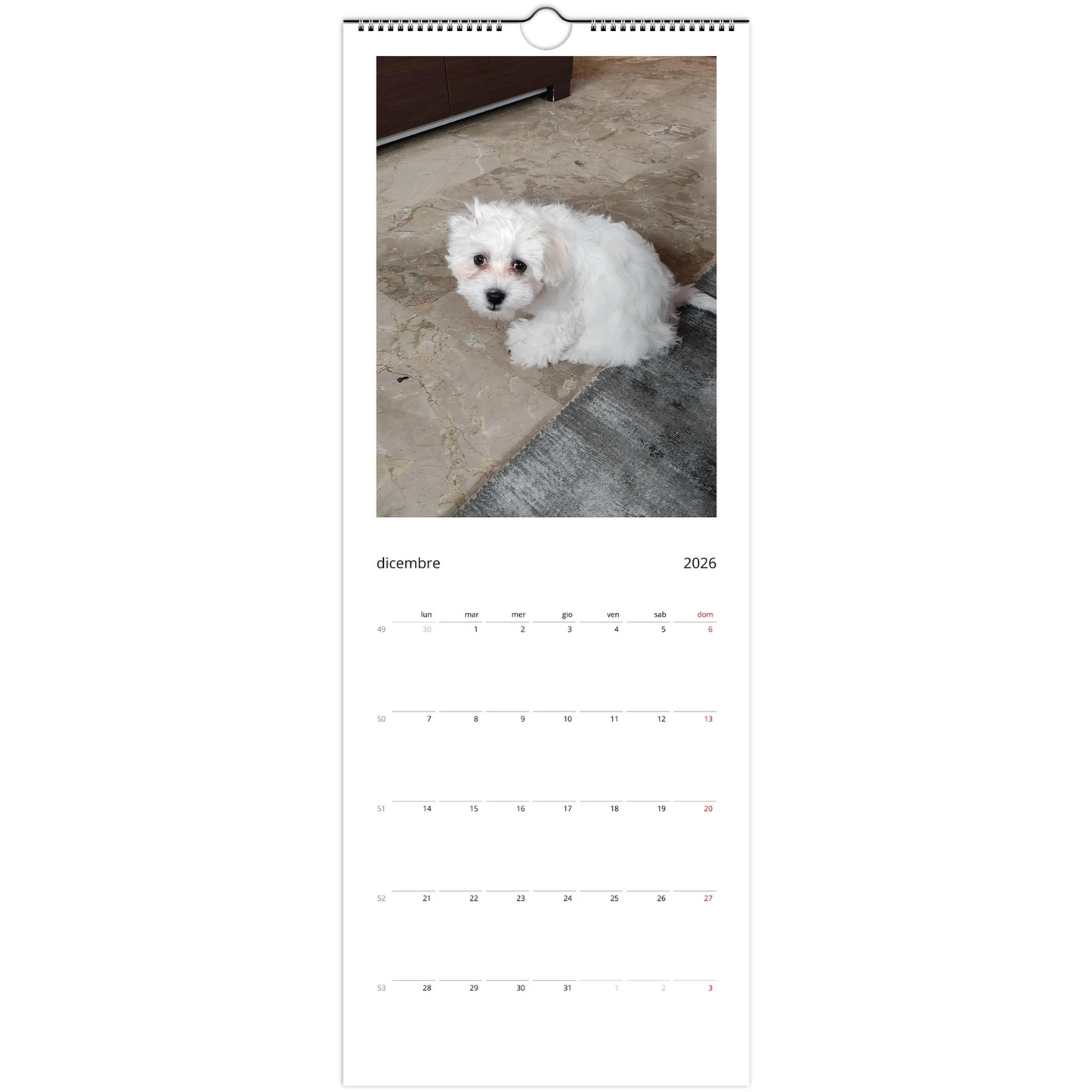 f6381624-44cf-4cc9-9a62-7e2289300c86