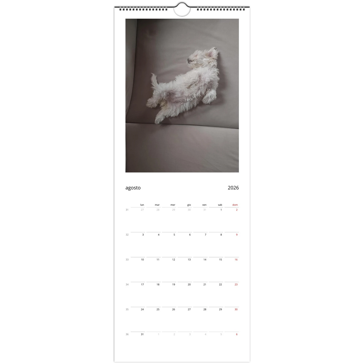 fb8af52b-b5da-4f63-b900-81c66d8cdf97